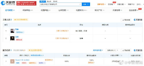 雷軍卸任小米電子產品公司董事長 對計算機軟件開發業務的影響